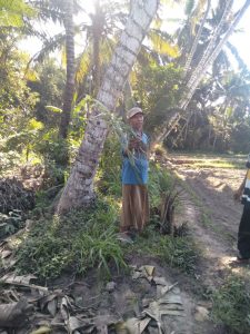 Kasus Perusakan Tanaman Cabe dan Jagung mengunakan traktor  Jumat, 2 September 2022. Jam.  08.00 Wita.