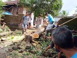 Warga Dusun Tegal RT.  01  Secara Swadaya Gotong Royong Perbaiki Jalan.