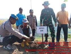 KODIM 1608 Bima dan BPKH maria donggomasa menanam ribuan bibit pohon yang di sediakan oleh yayasan kabua dana Rasa dan PT. Pelni