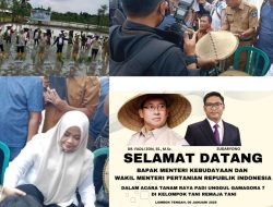 Lombok Tengah Sukses Tanam Padi Unggul Gamagora. 7