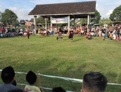 Karang Taruna Budi Mulya  Mengadakan festival presean sebagai Pendongkrak Pariwisata Desa Aik Darek