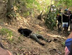 Lombok Barat di Gegerkan lagi dengan Penemuan Mayat Yang diduga Anggota Polri dibawah gunung Dusun Nyiur Lembang.
