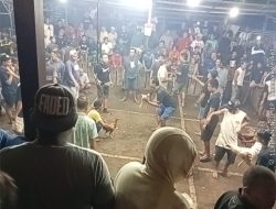 Hanya Mataram yang Masih Buka? Penutupan Arena Gocekan Picu Dugaan Tebang Pilih Penindakan
